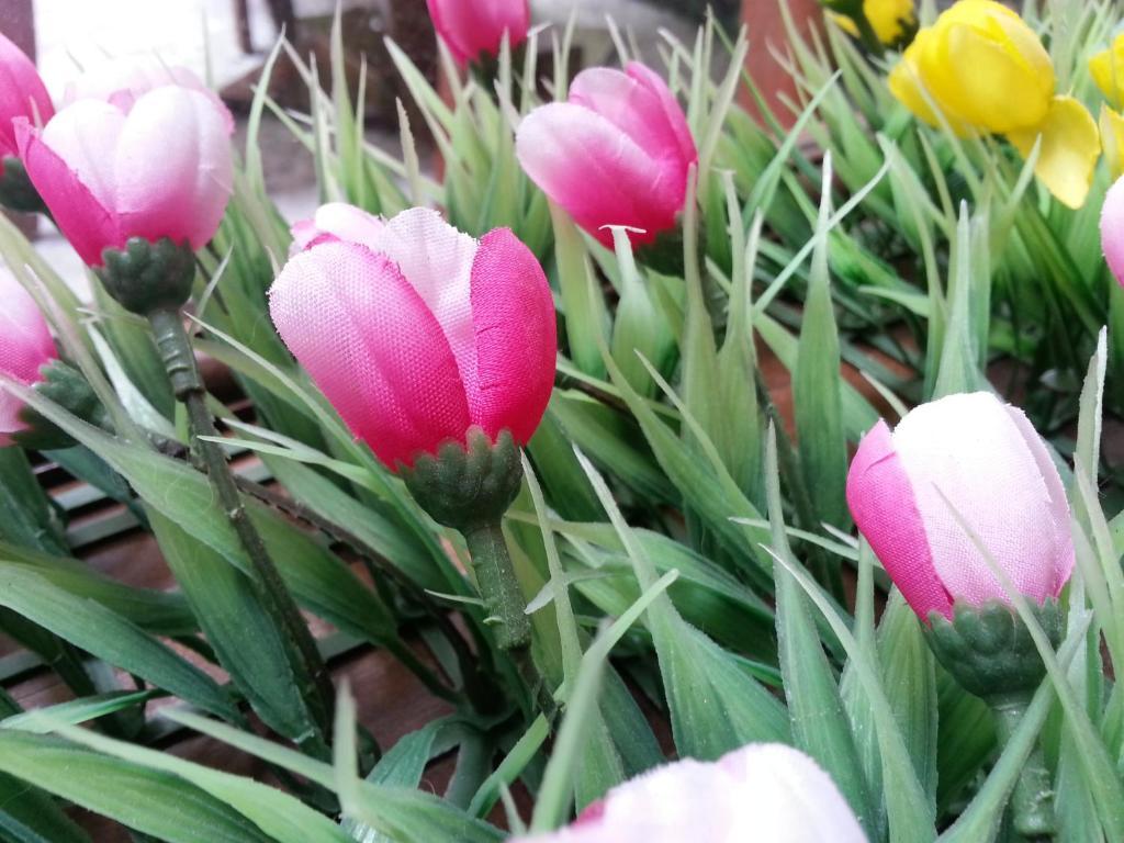 Pink Tulip Hotel Ho Chi Minh-staden Exteriör bild