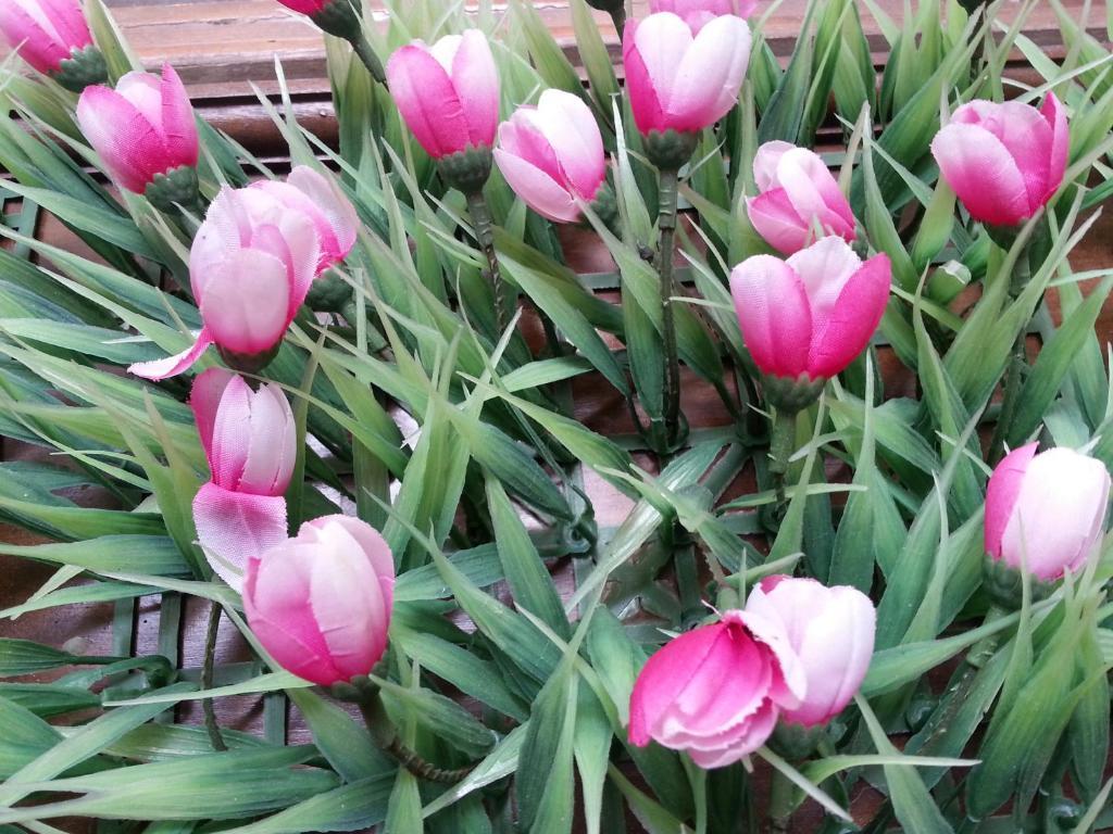 Pink Tulip Hotel Ho Chi Minh-staden Exteriör bild